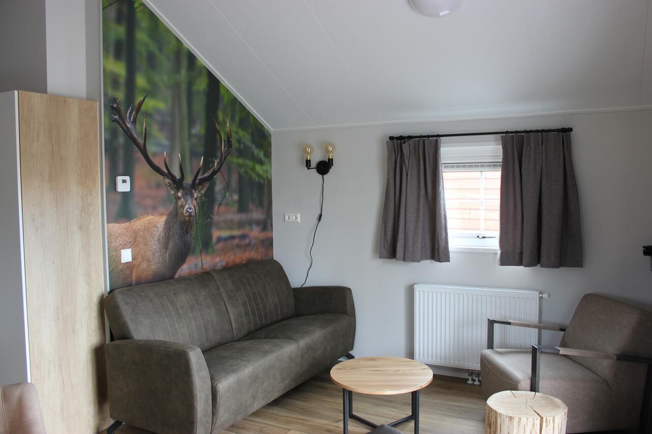 De Bijsselse Enk, Noors chalet 12 Nunspeet Buitenkant foto